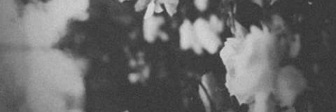 licfergie's profile banner image