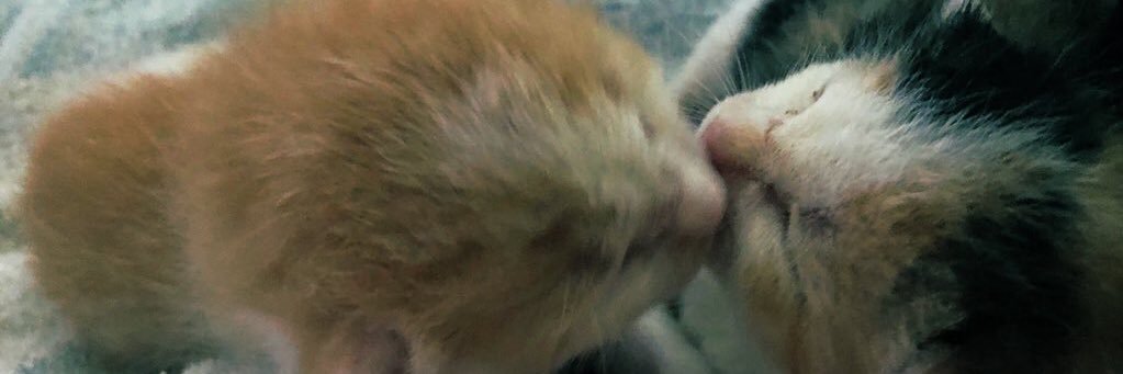 Just Me ☀️ banner