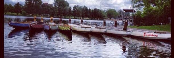 DirtyOars DragonBoat banner
