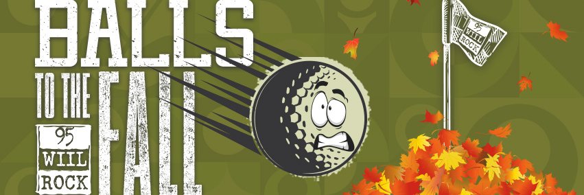 95WIILROCK banner