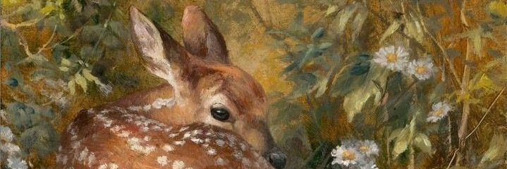 ♡ʕ •ᴥ•ʔ♡ banner