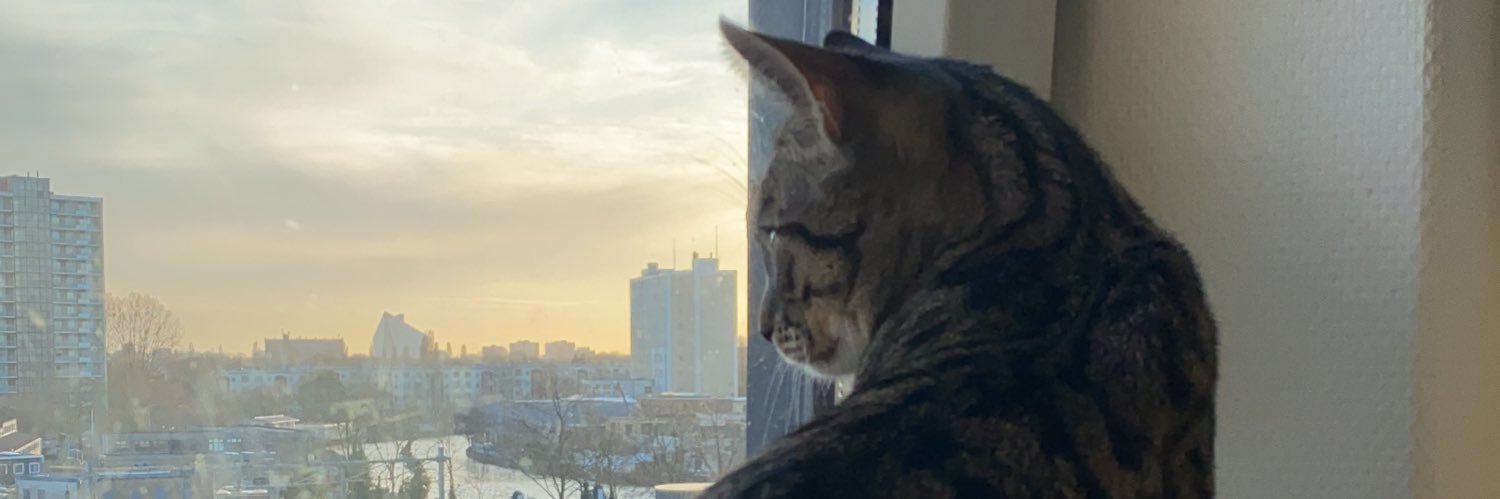 Amber Anne banner