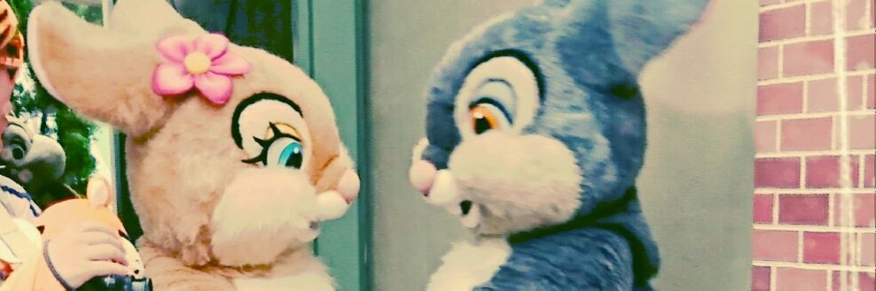 あちゃ仔* banner