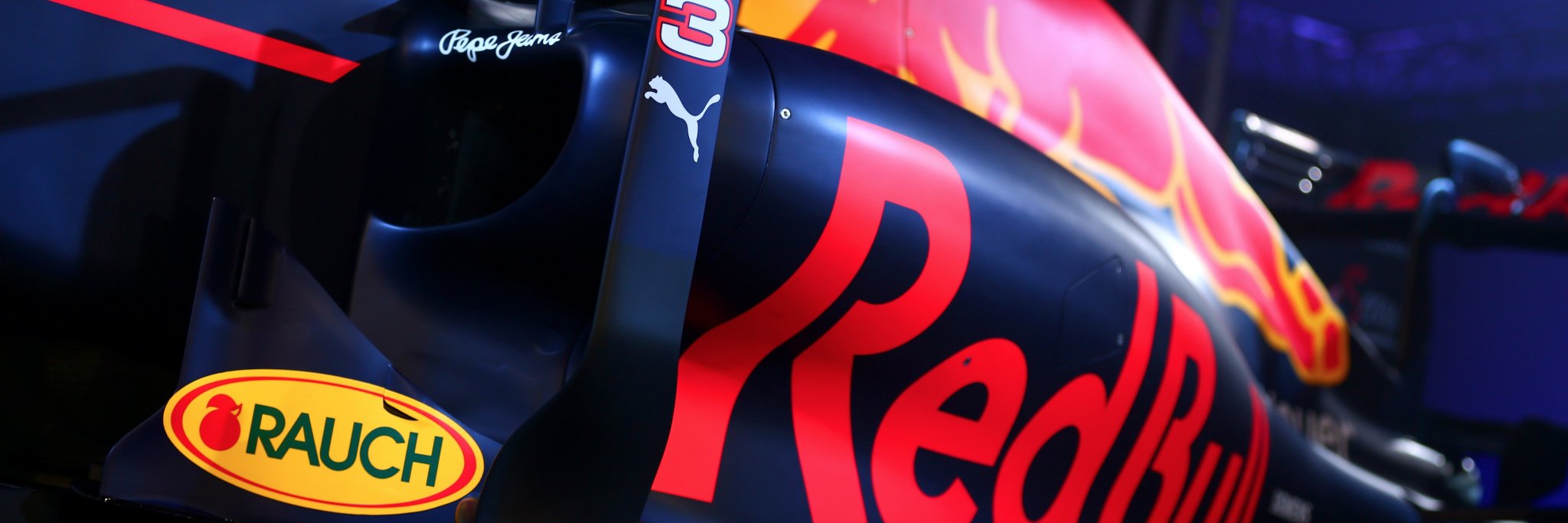cheetha banner
