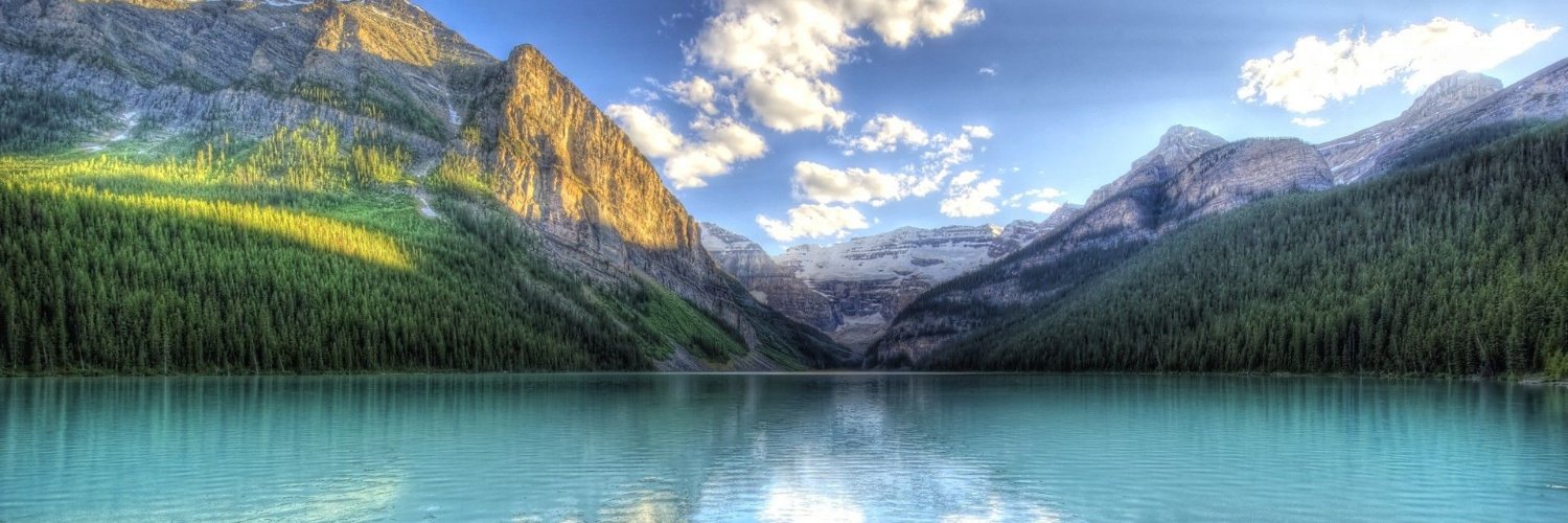 Kelly A. Aldinger banner