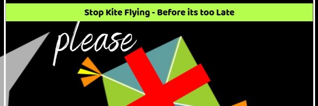 antikiteflying's profile banner image