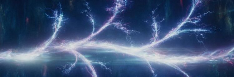 Livia banner