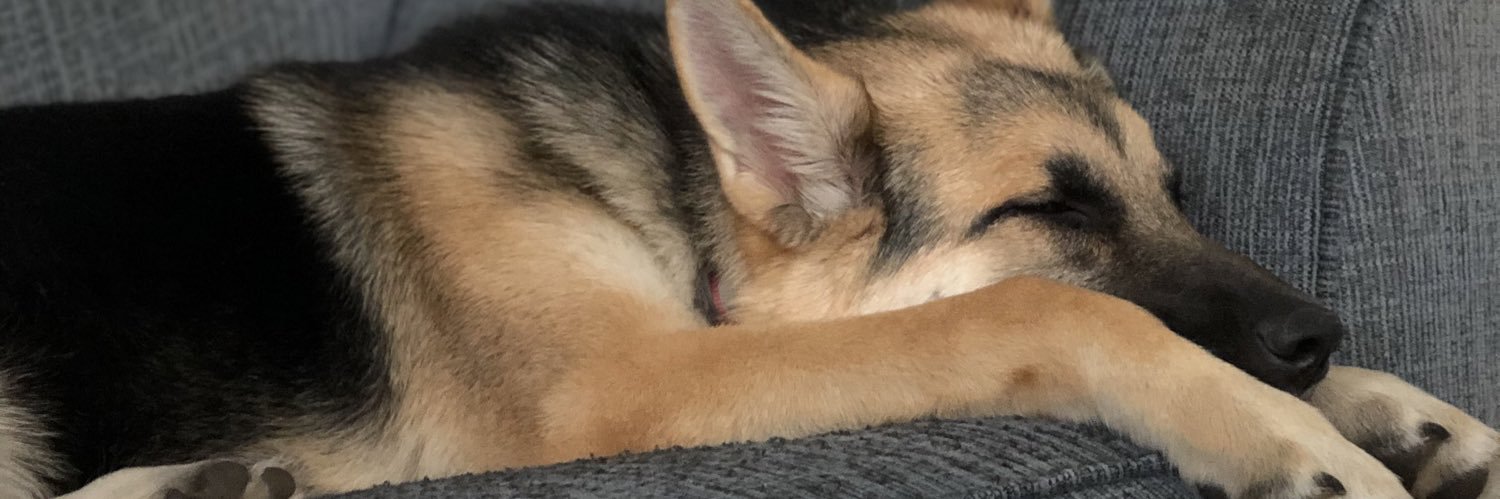 AJKP25's profile banner image