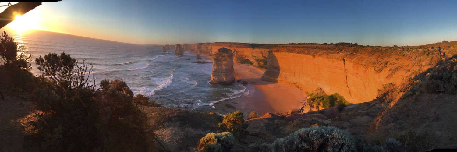 Payal Banerjee banner