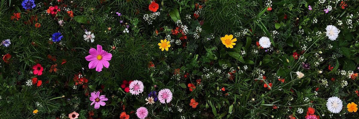 pp💐(ถ้าตอบช้าทักไลน์เลยคั้บ) banner