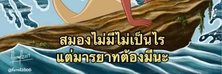 ใบเฟิร์น❤️ banner