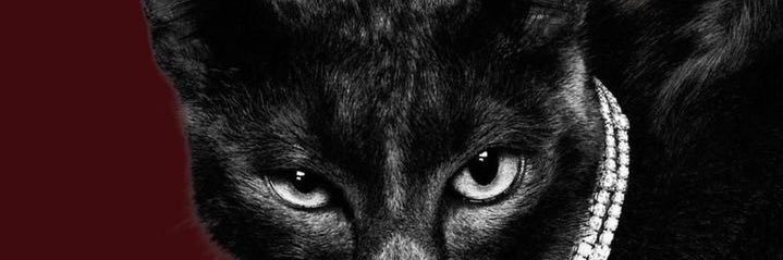 𝓓.'s banner