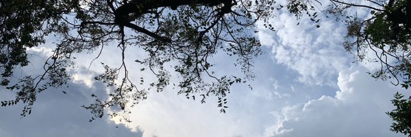 fav4letterword Profile Banner