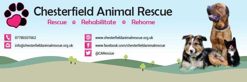 CARescue's profile banner image