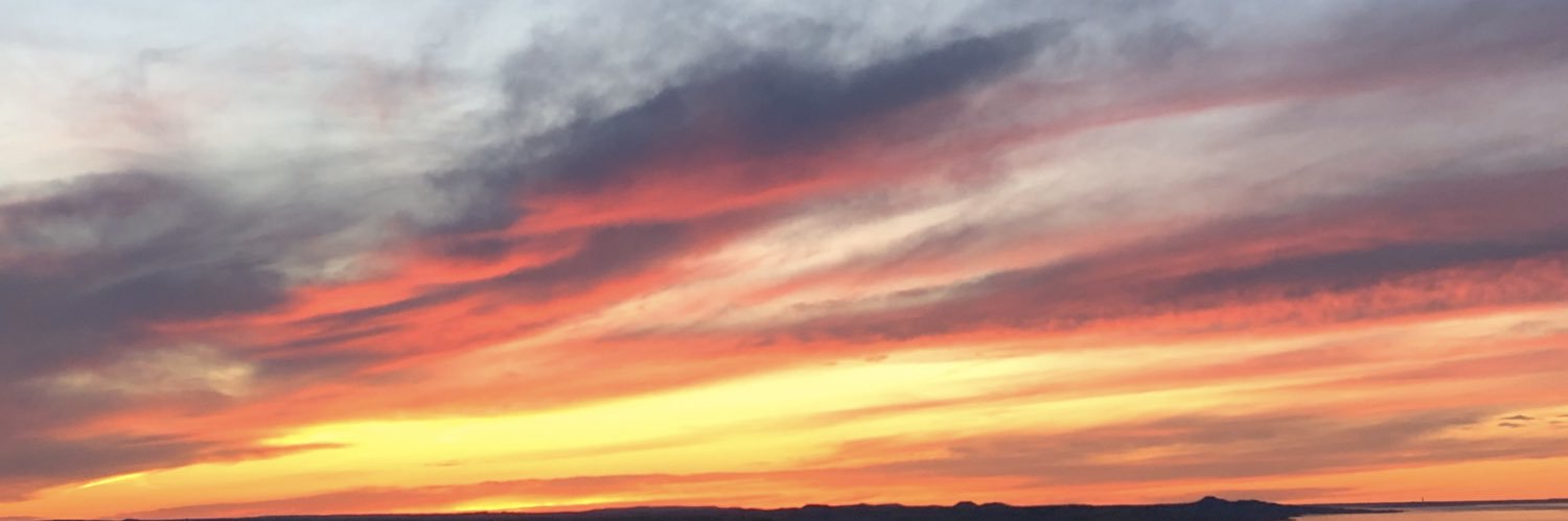 alyssa1004's profile banner image