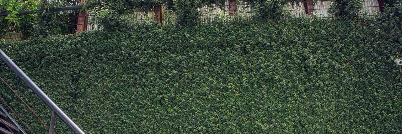cuongta88's profile banner image