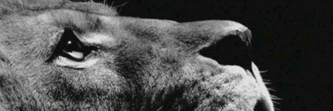 FrzHira_'s profile banner image