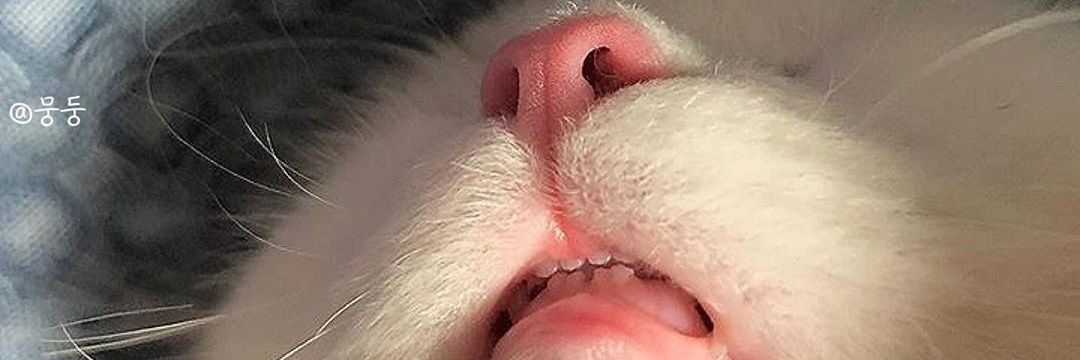 99_mialuna's profile banner image