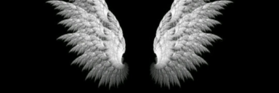 Abdullah7600's profile banner image