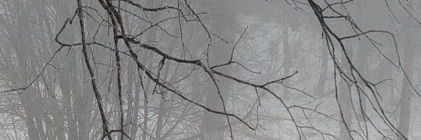 nuclaeree Profile Banner