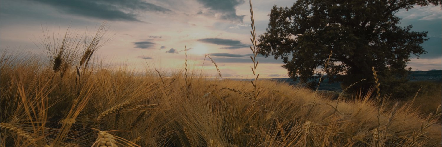 YYCMarlise's profile banner image