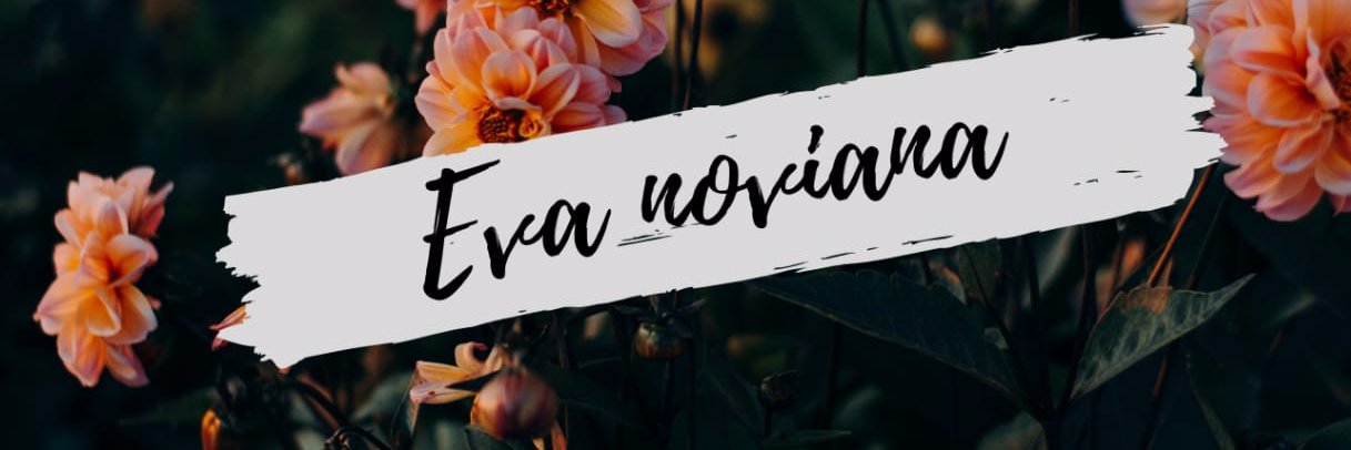 evanovianaaa's profile banner image