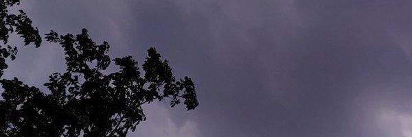 layn_asol Profile Banner