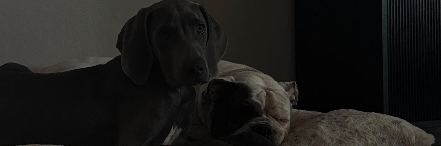 svicth__'s profile banner image