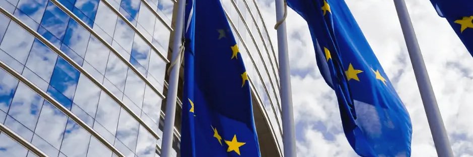 Polski Liberał banner