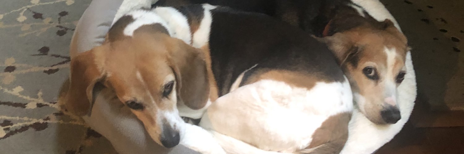 kellydoyle's profile banner image
