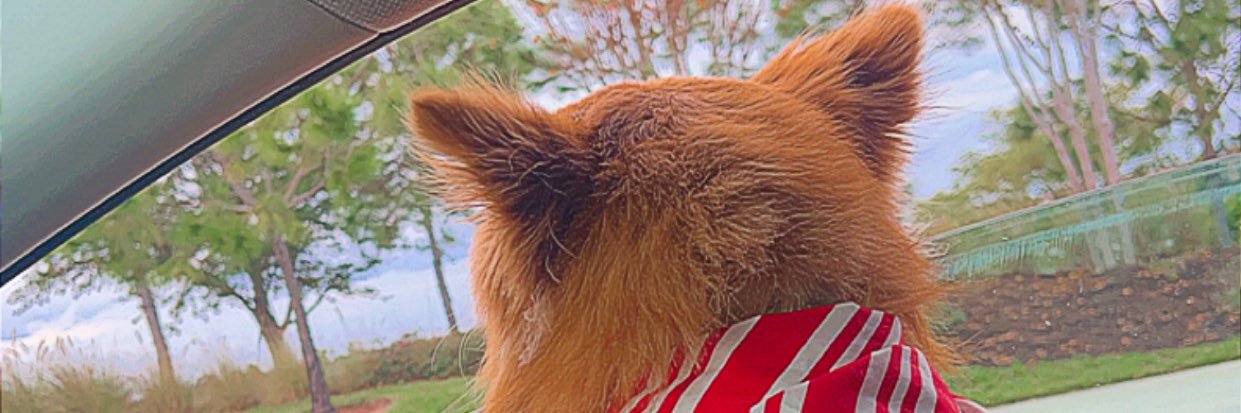 Andrew Mummert banner