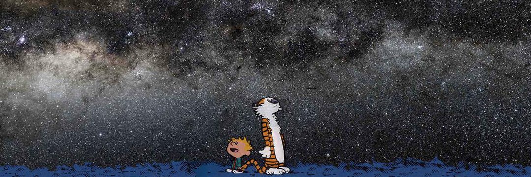 0xStardust's profile banner image