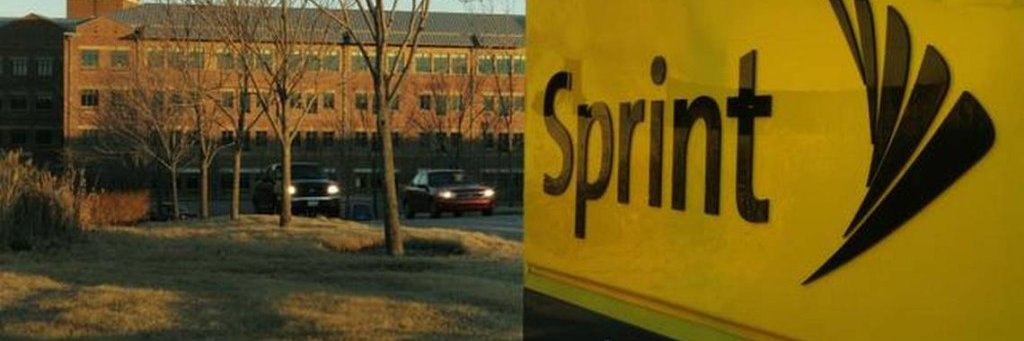 Whitney Stedman banner