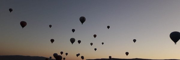Ela0633 Profile Banner