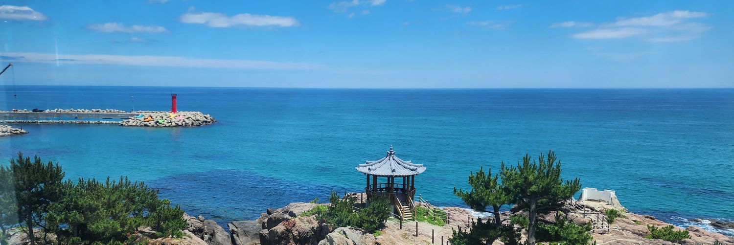 🦋라디샤🦋 banner