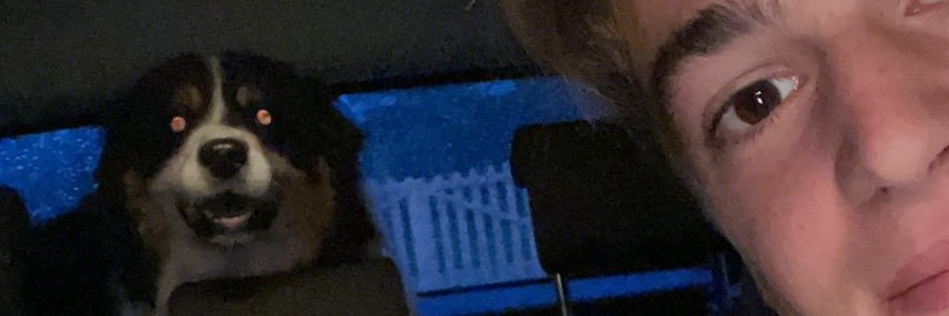 lilebrew's profile banner image