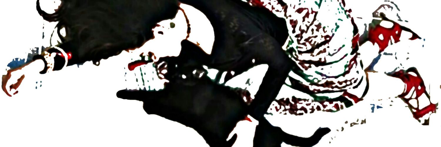 jhooutoftime's profile banner image