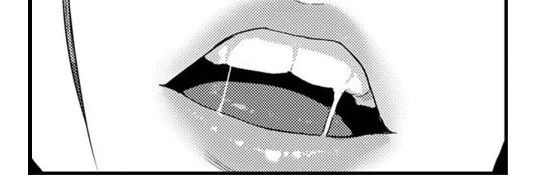 Lily XD banner