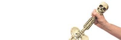 Switched banner
