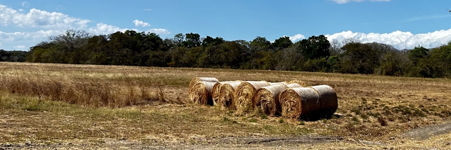 ǝmmanuel prado banner
