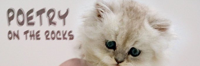 professor spacedust banner