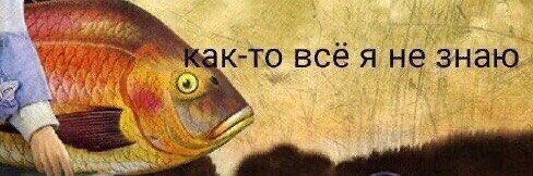 Koshkovatost's profile banner image