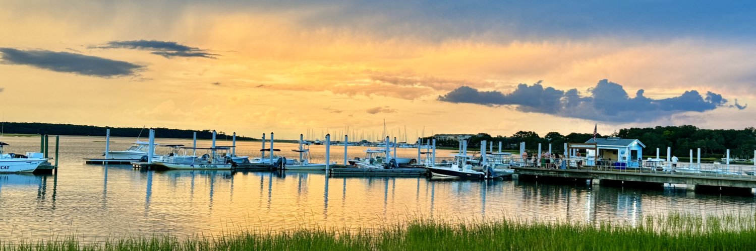 🇺🇸TracyLGorman🇺🇸 banner