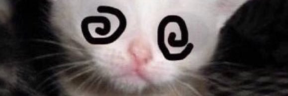 /ᐠ - ˕ -マ banner