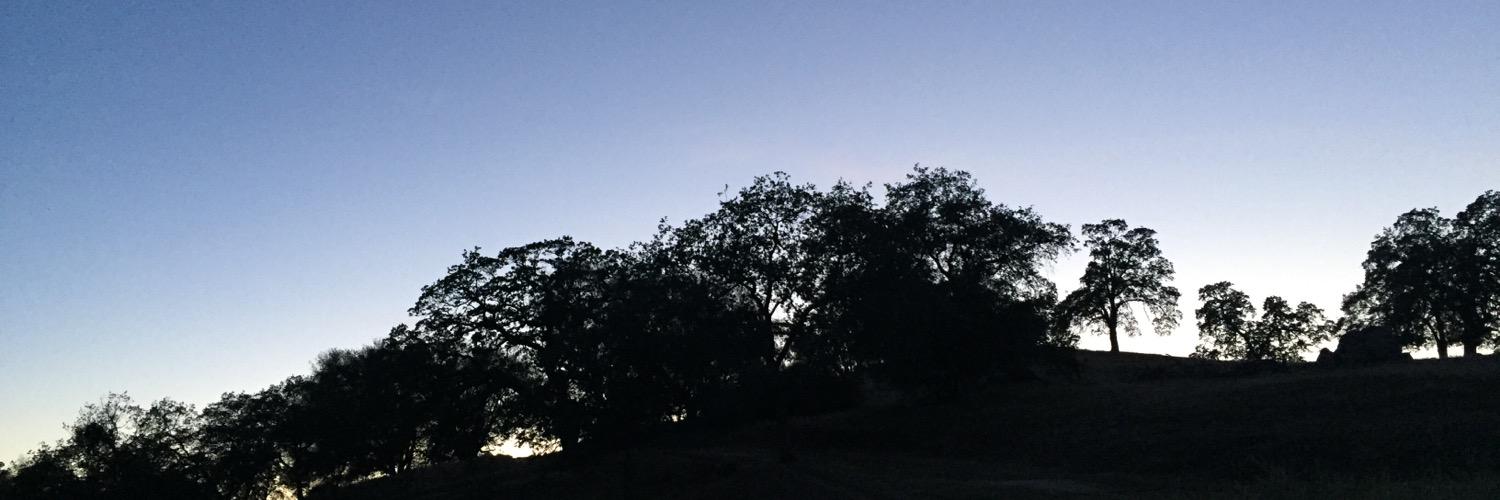 Ryer_Porter's profile banner image