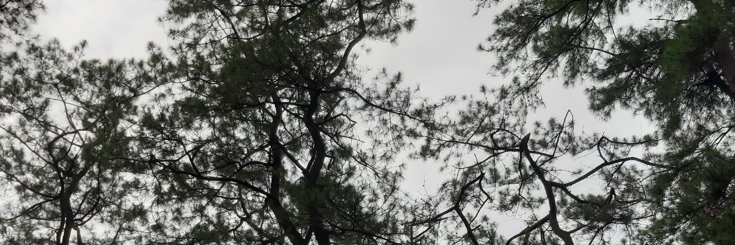 chulowi's profile banner image