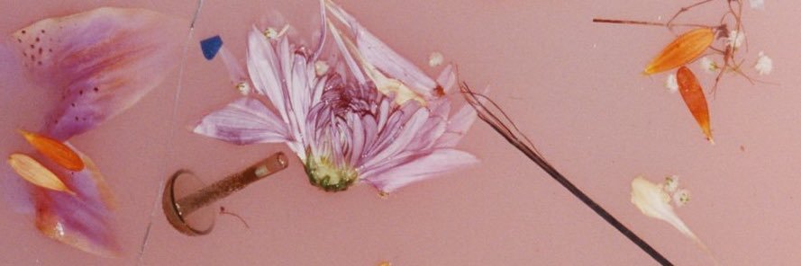 wwarocks's profile banner image