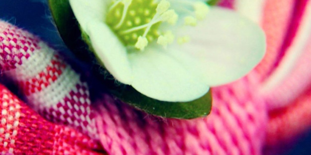 Doodoo29Ell's profile banner image