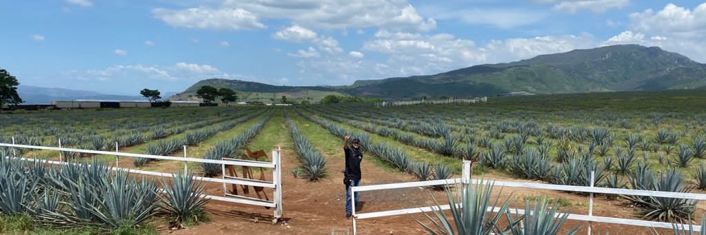 Belman Marin Franco 🚀 banner