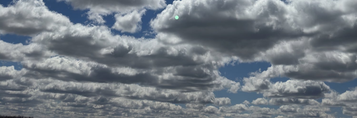 bellaspaulding's profile banner image